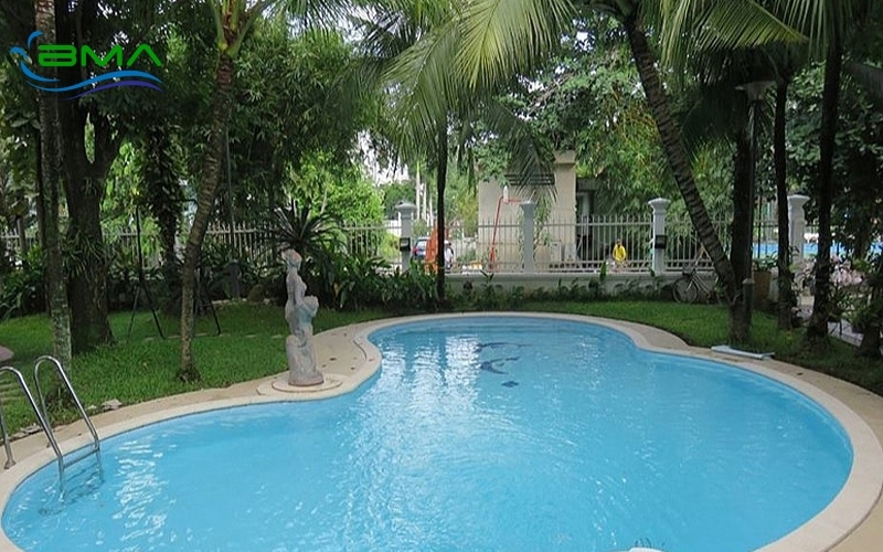 Bể Bơi Hình Oval Bể Bơi Hình Oval