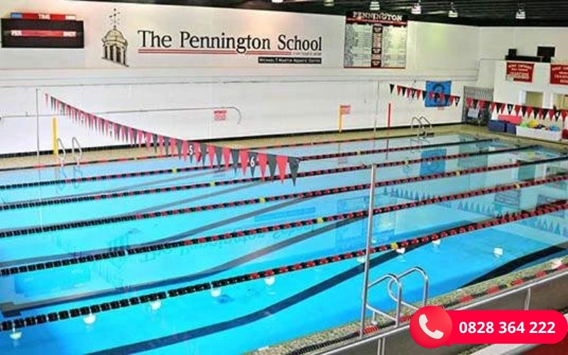 Quy Trình Thiết Kế và Thi Công Bể Bơi Trường Học Quy Trình Thiết Kế và Thi Công Bể Bơi Trường Học