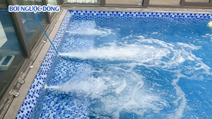 Bơi ngược dòng Venus Penthouse Dolphin Plaza Mỹ Đình